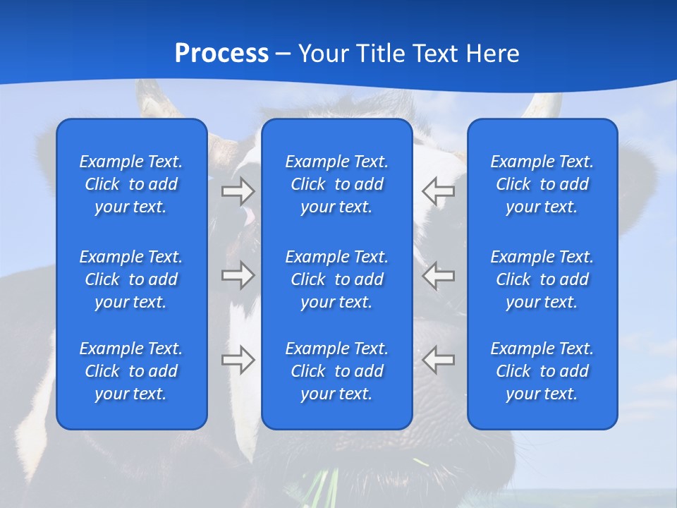 Sea Pensioner Woman PowerPoint Template