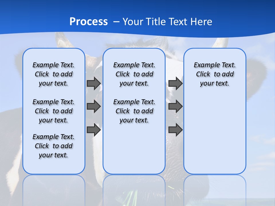 Sea Pensioner Woman PowerPoint Template