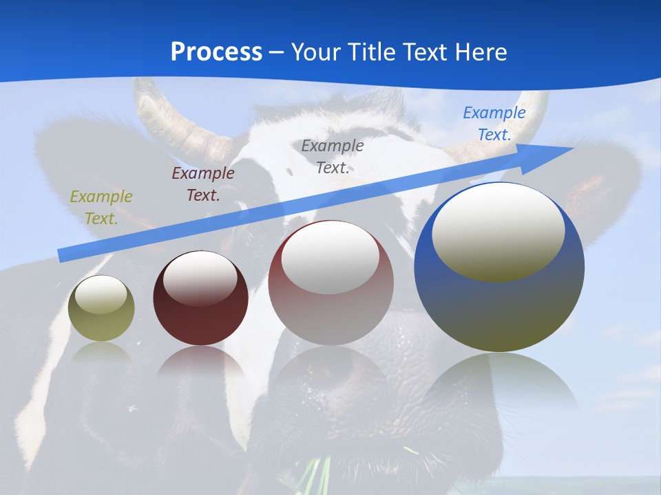 Sea Pensioner Woman PowerPoint Template