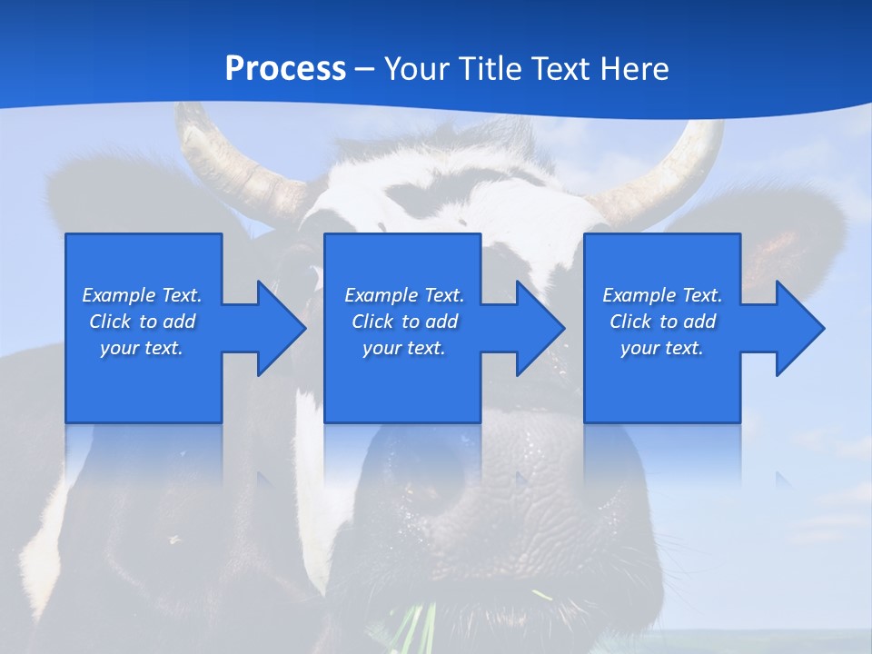 Sea Pensioner Woman PowerPoint Template