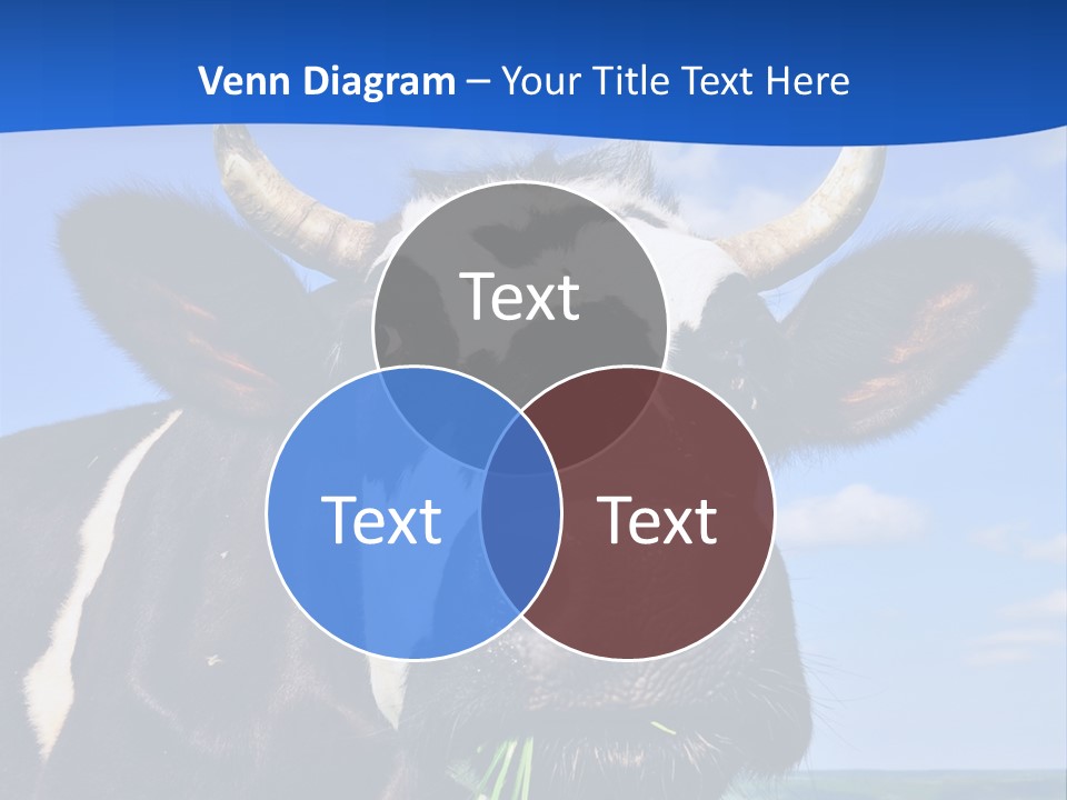 Sea Pensioner Woman PowerPoint Template