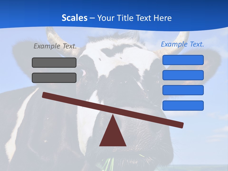 Sea Pensioner Woman PowerPoint Template