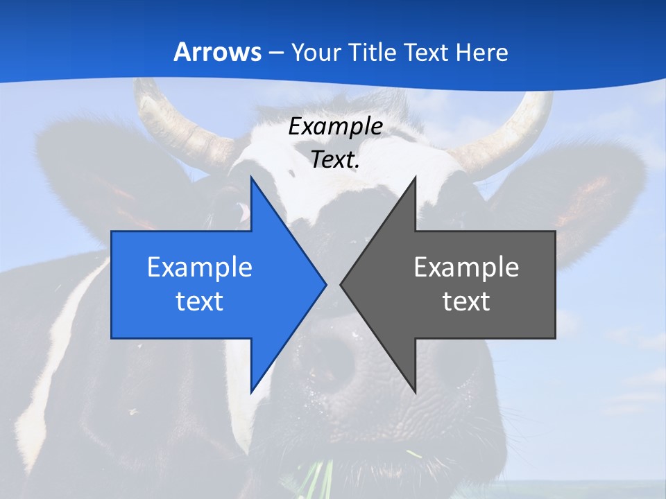 Sea Pensioner Woman PowerPoint Template