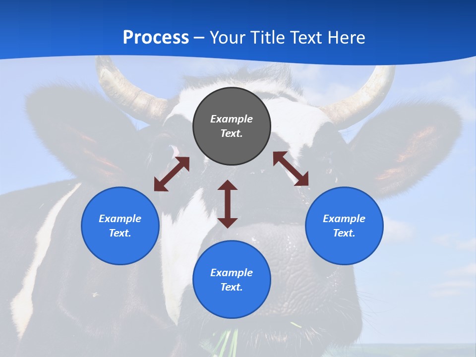 Sea Pensioner Woman PowerPoint Template