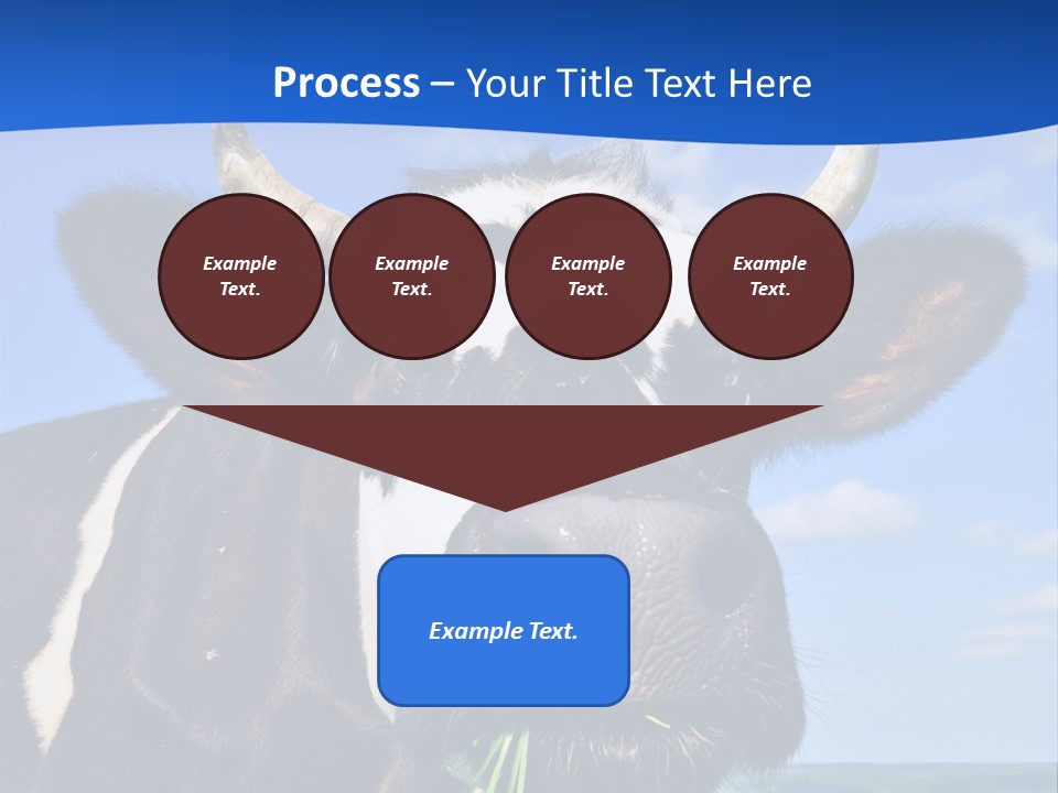 Sea Pensioner Woman PowerPoint Template