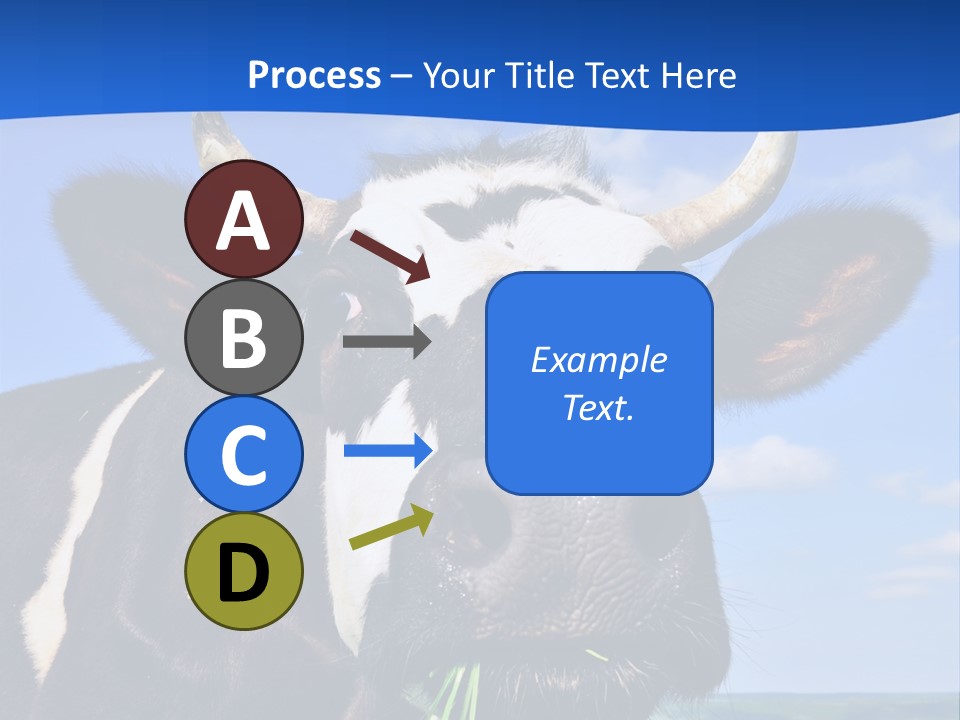 Sea Pensioner Woman PowerPoint Template