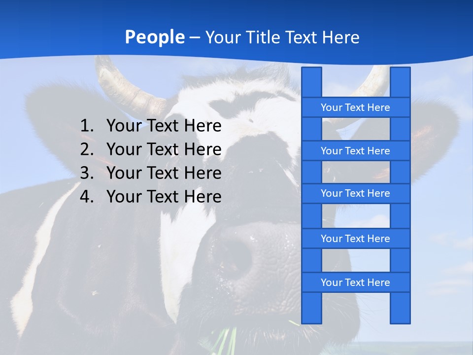 Sea Pensioner Woman PowerPoint Template