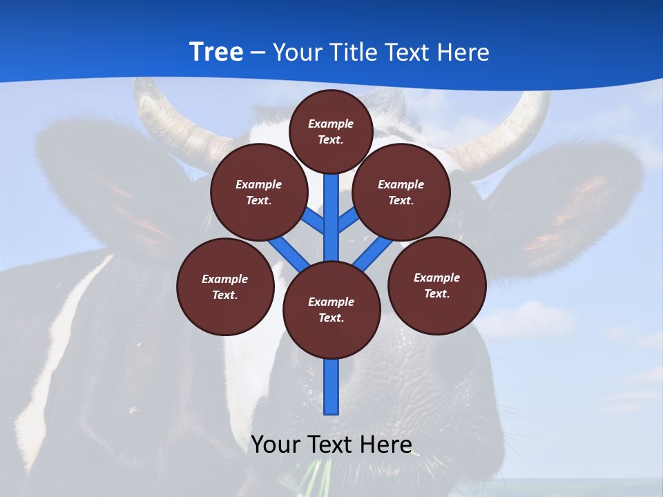 Sea Pensioner Woman PowerPoint Template