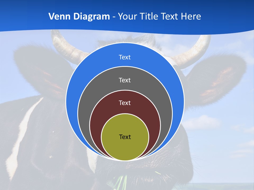 Sea Pensioner Woman PowerPoint Template