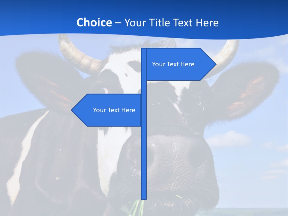 Sea Pensioner Woman PowerPoint Template