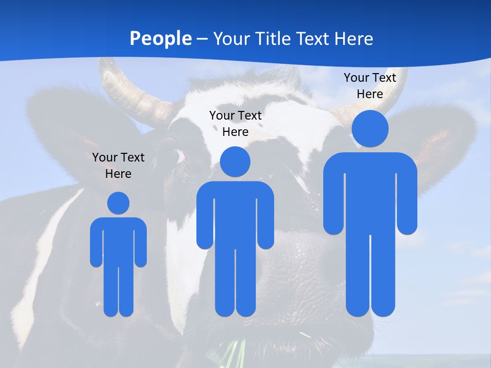 Sea Pensioner Woman PowerPoint Template