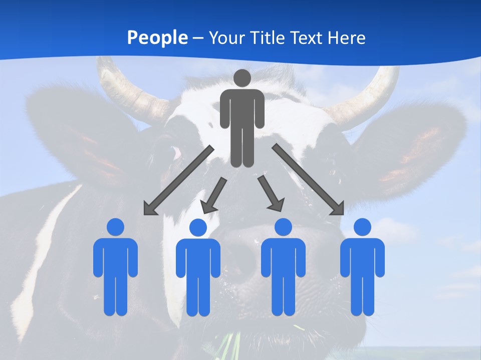 Sea Pensioner Woman PowerPoint Template