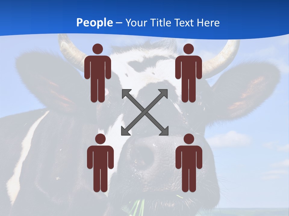 Sea Pensioner Woman PowerPoint Template