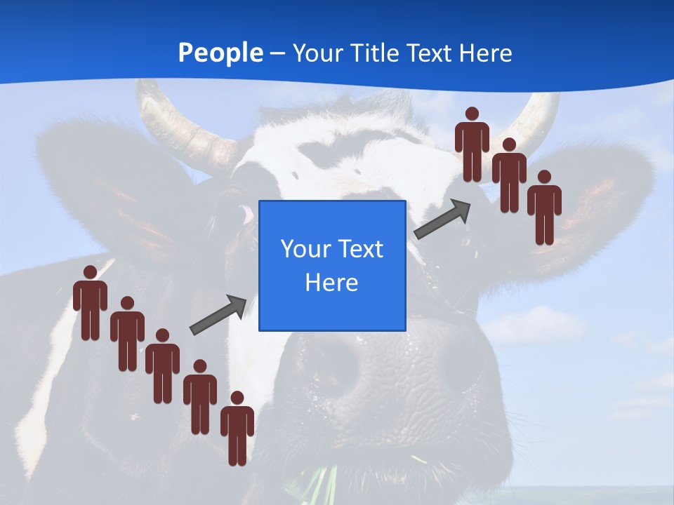 Sea Pensioner Woman PowerPoint Template