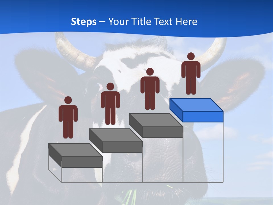 Sea Pensioner Woman PowerPoint Template