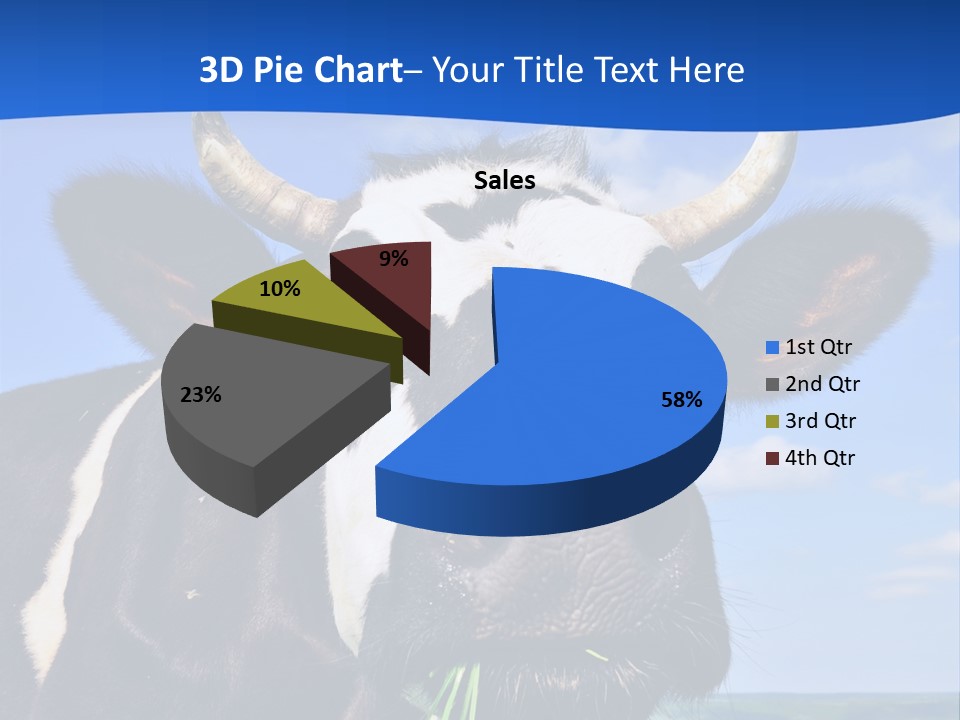 Sea Pensioner Woman PowerPoint Template