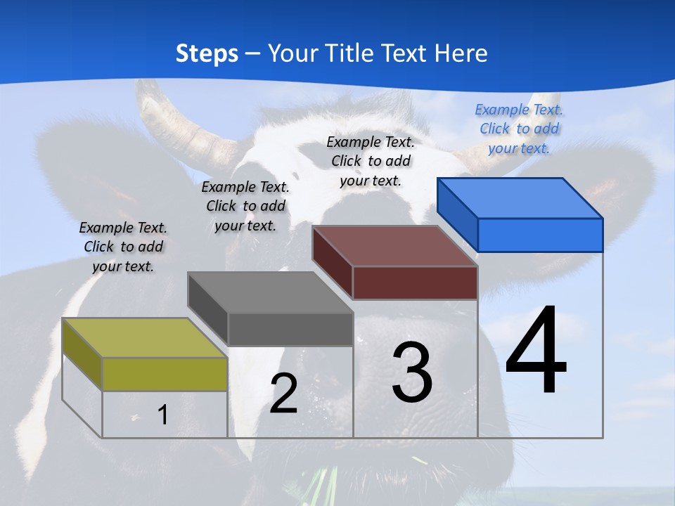 Sea Pensioner Woman PowerPoint Template