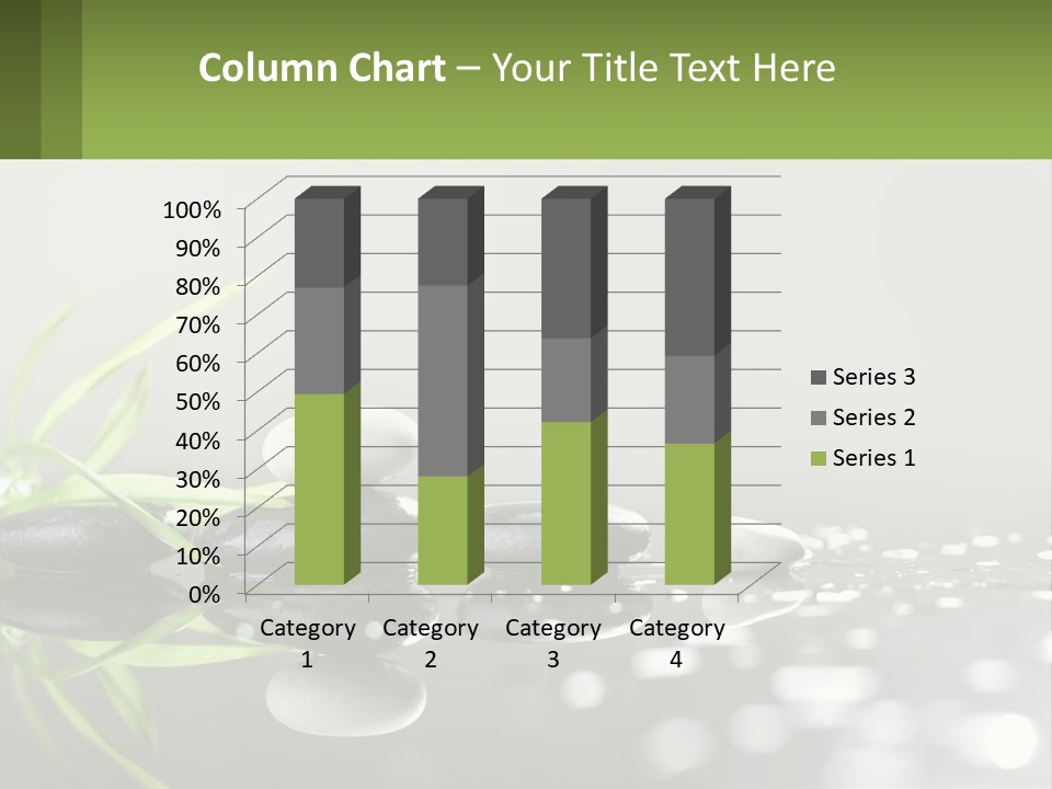 White Coast Sunset PowerPoint Template