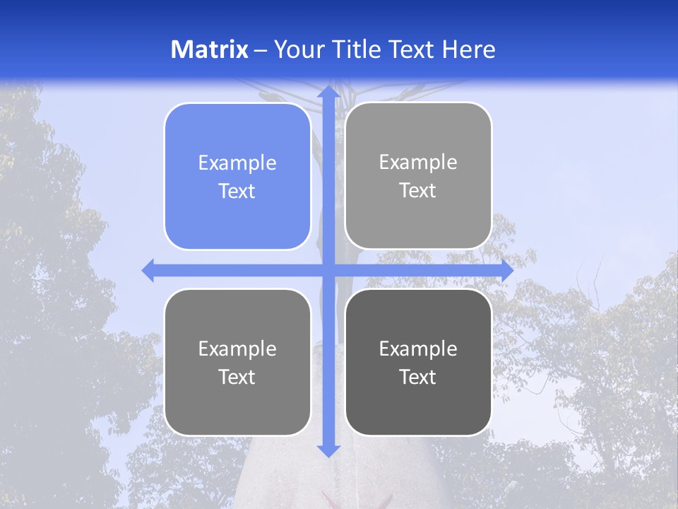 Coast Senior Old PowerPoint Template