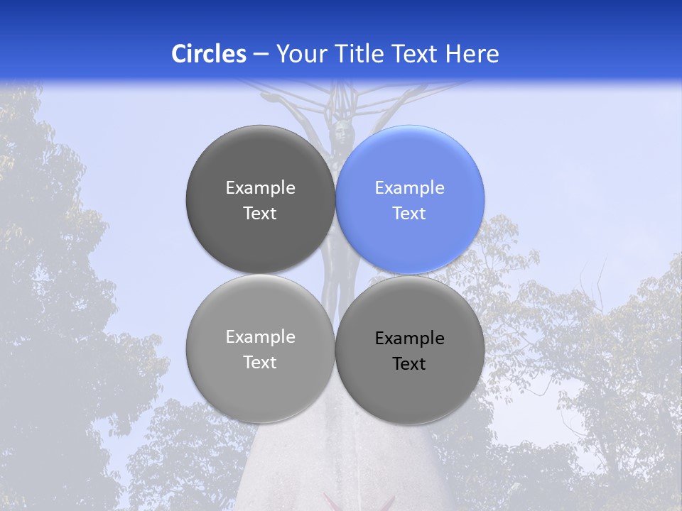 Coast Senior Old PowerPoint Template