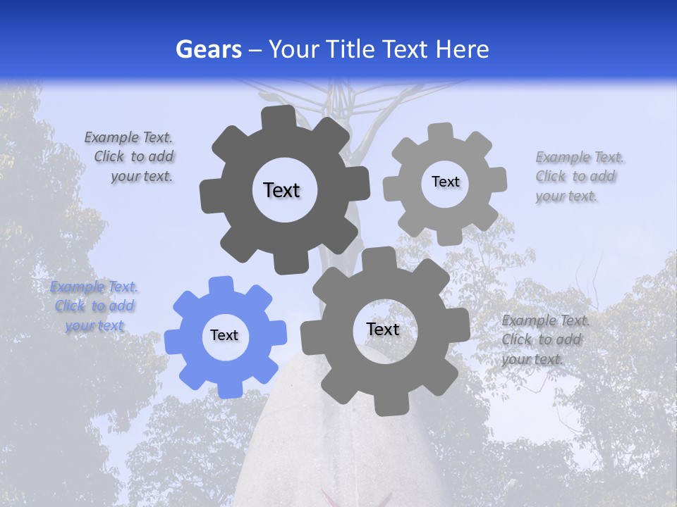 Coast Senior Old PowerPoint Template