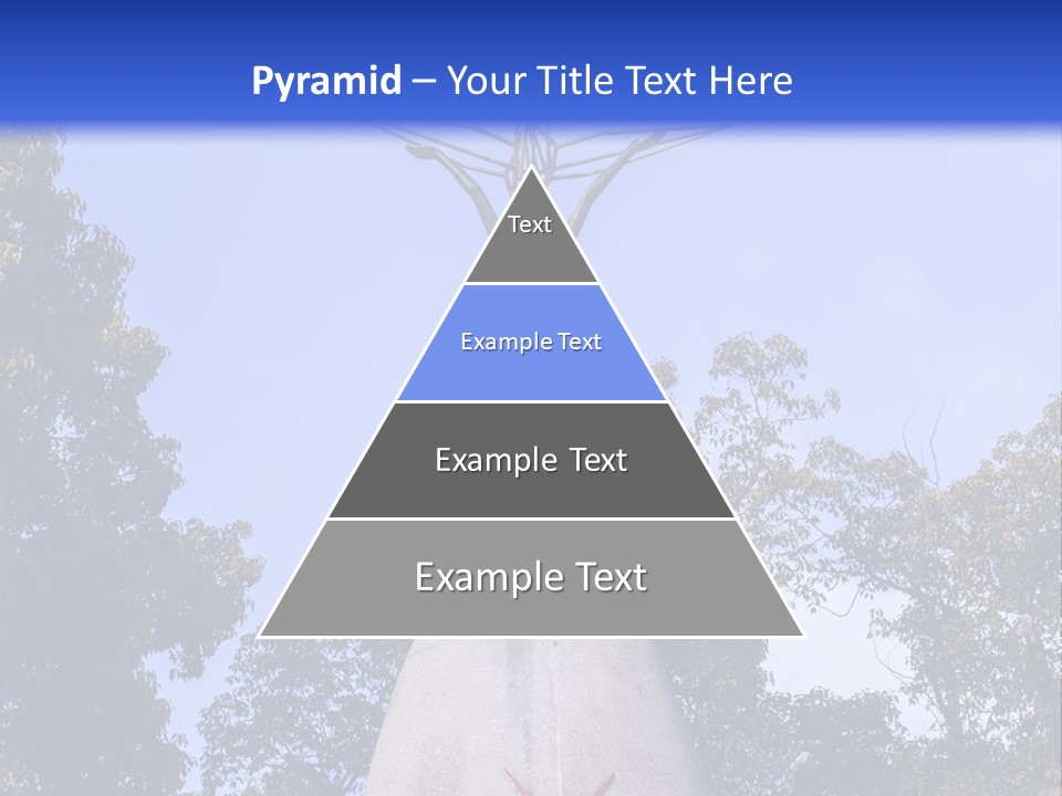 Coast Senior Old PowerPoint Template