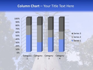 Coast Senior Old PowerPoint Template