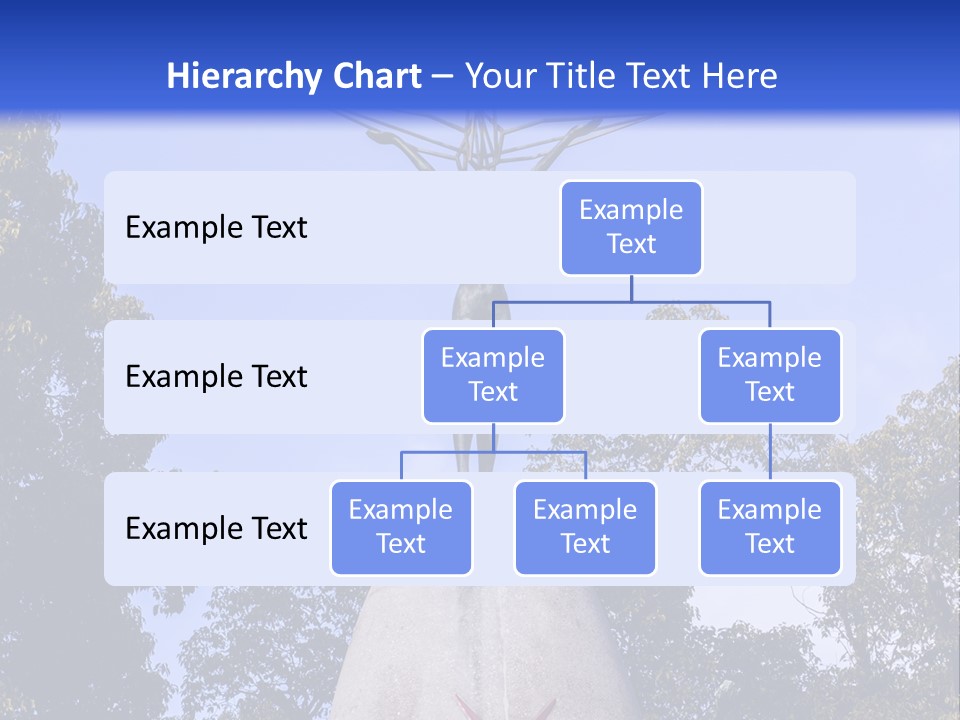 Coast Senior Old PowerPoint Template