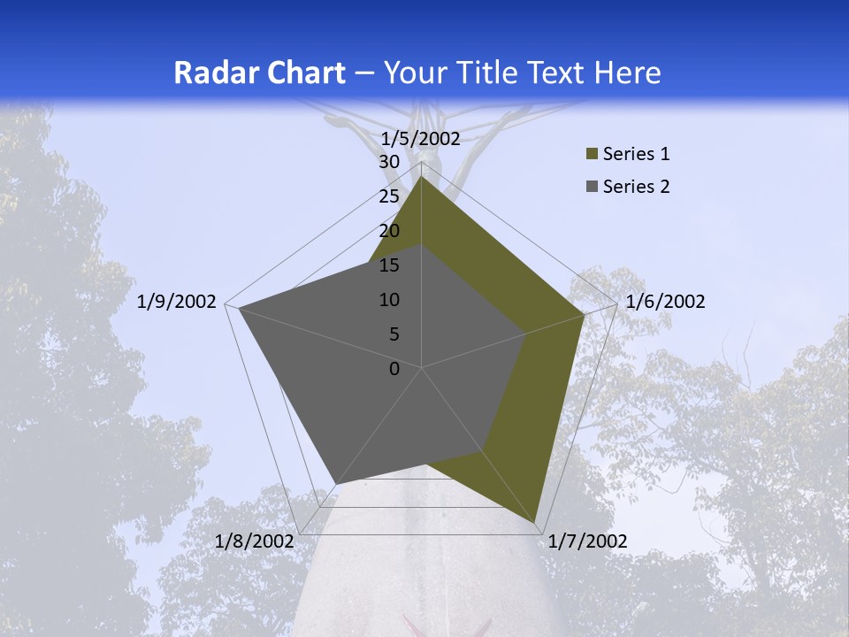 Coast Senior Old PowerPoint Template