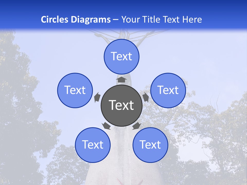 Coast Senior Old PowerPoint Template