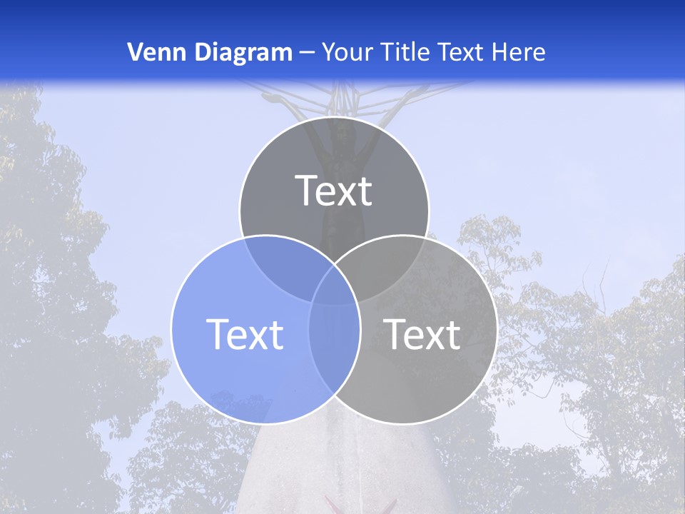 Coast Senior Old PowerPoint Template