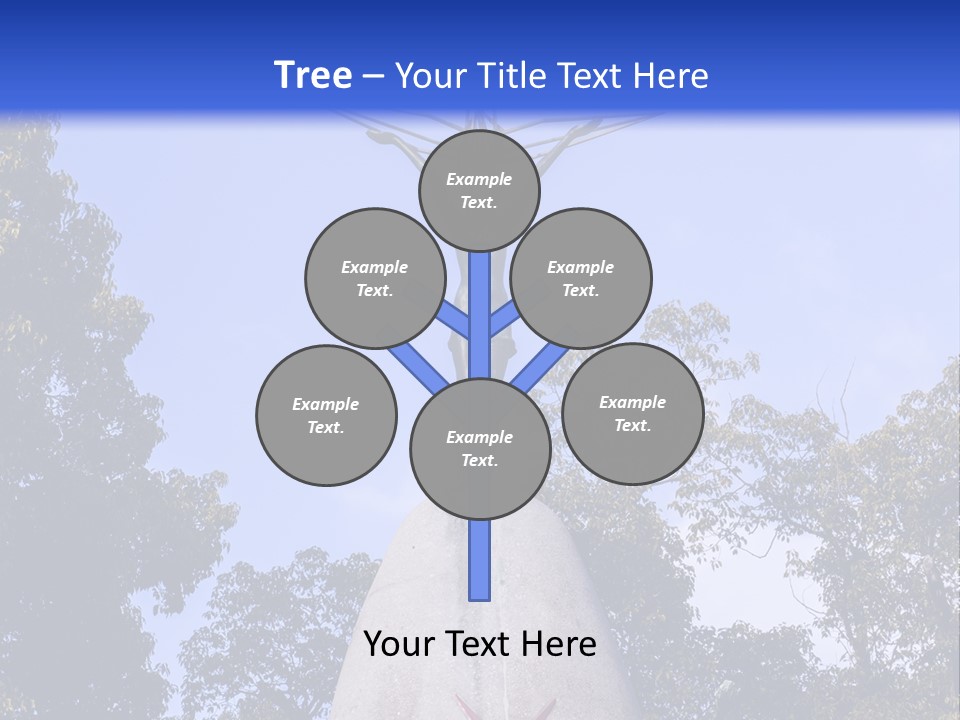 Coast Senior Old PowerPoint Template