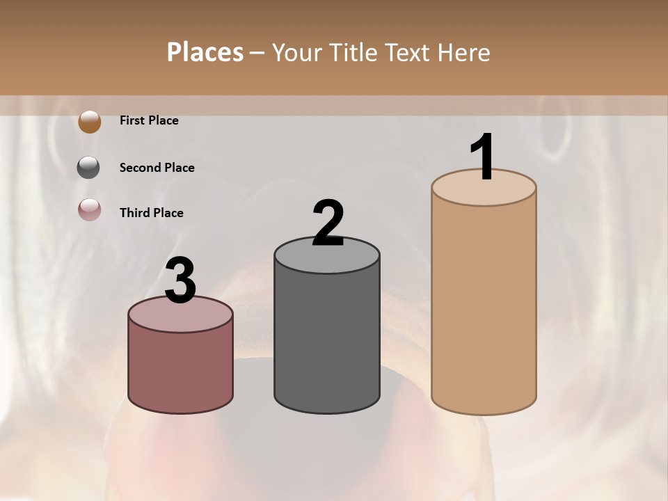 Woman Beach Water PowerPoint Template