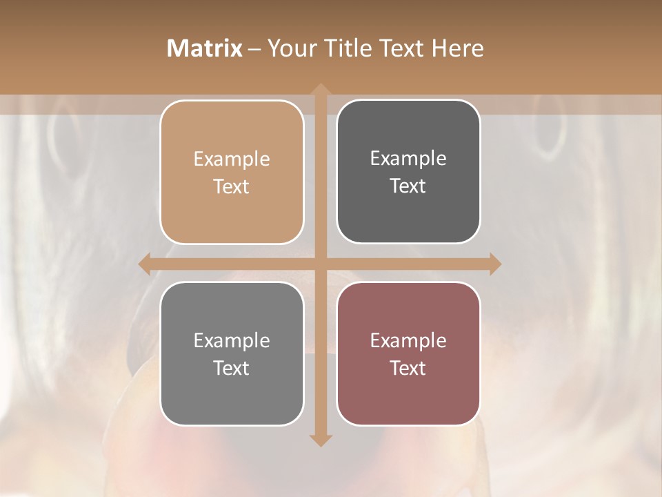 Woman Beach Water PowerPoint Template