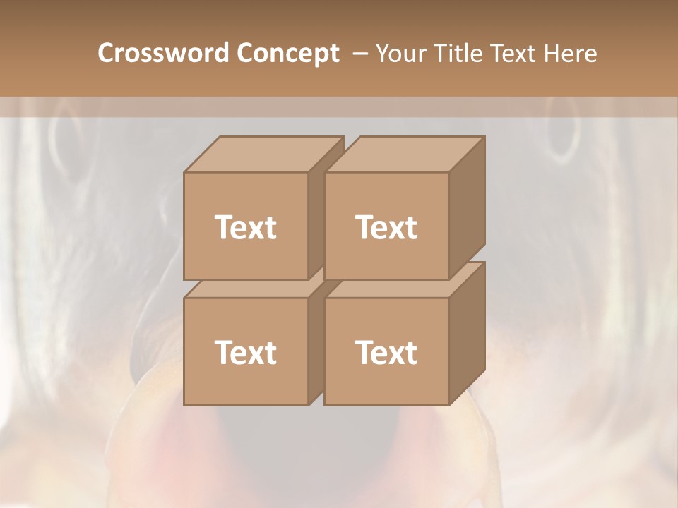 Woman Beach Water PowerPoint Template