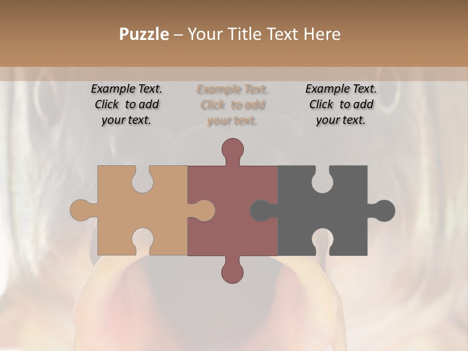 Woman Beach Water PowerPoint Template