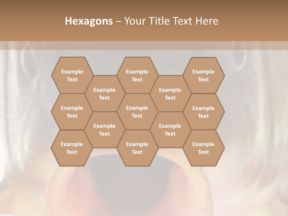 Woman Beach Water PowerPoint Template