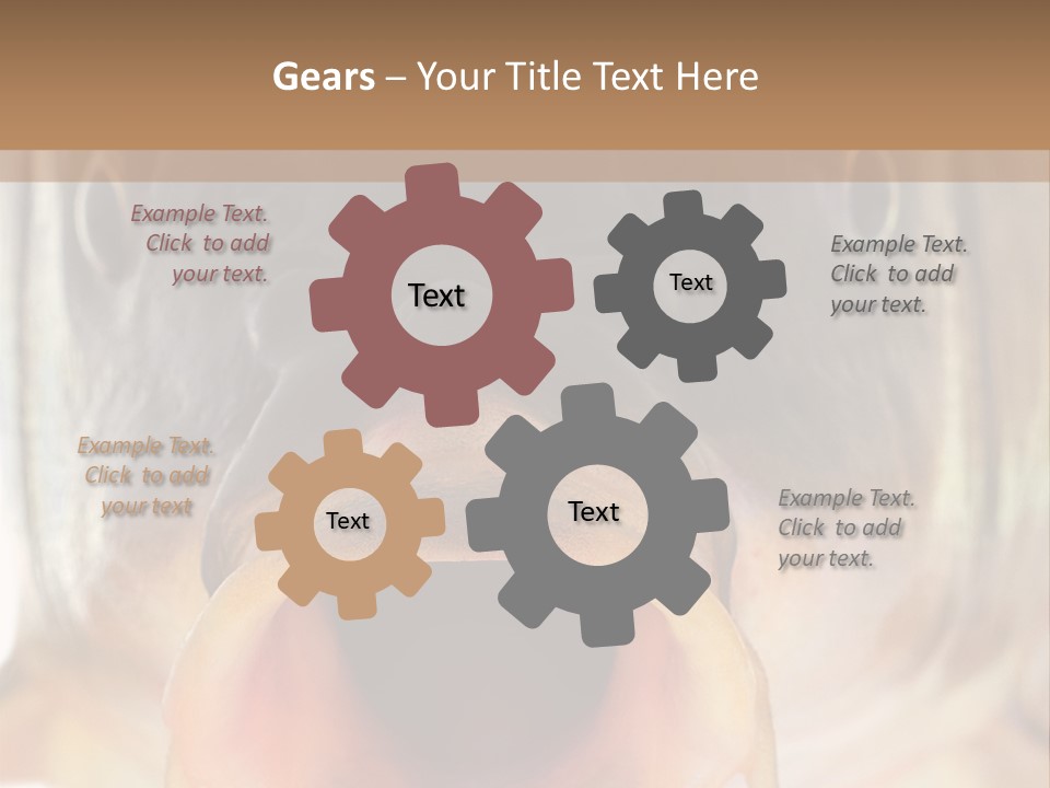 Woman Beach Water PowerPoint Template