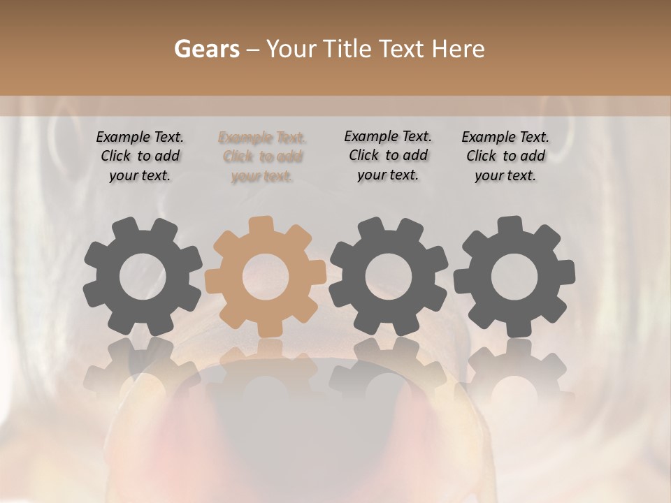 Woman Beach Water PowerPoint Template