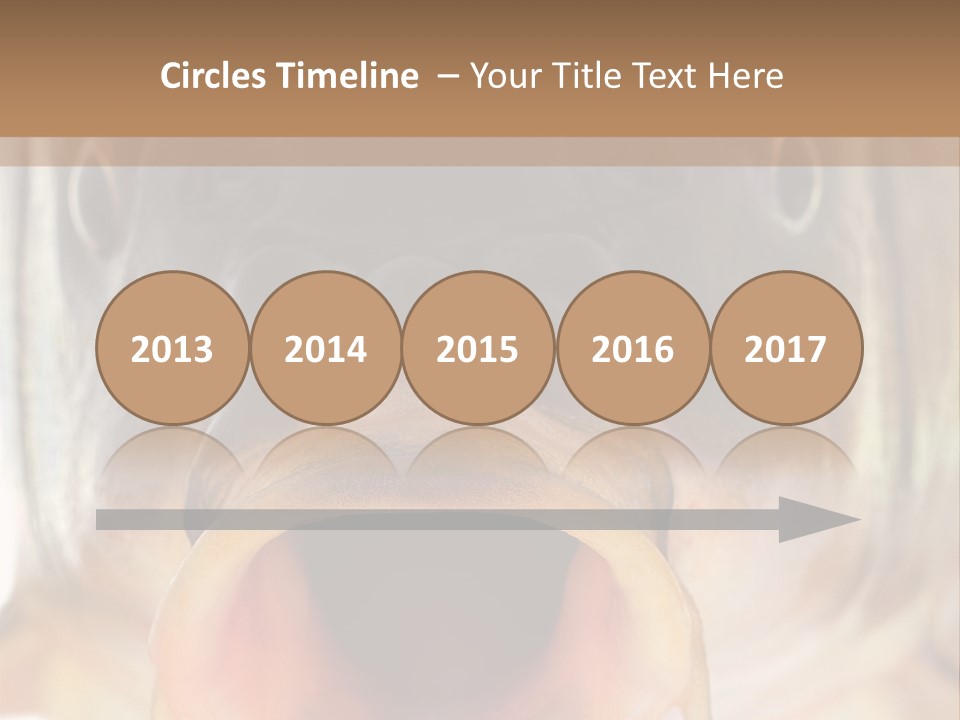 Woman Beach Water PowerPoint Template