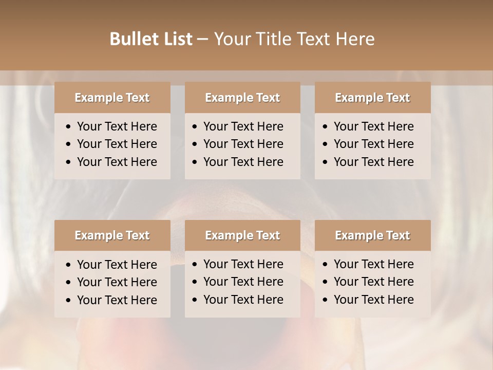 Woman Beach Water PowerPoint Template