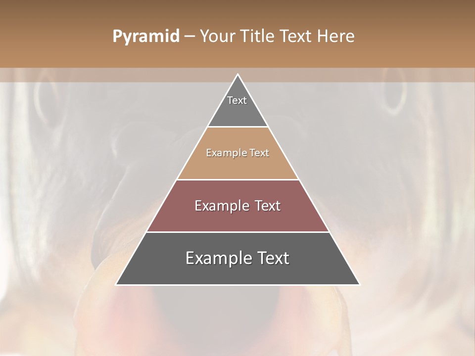 Woman Beach Water PowerPoint Template