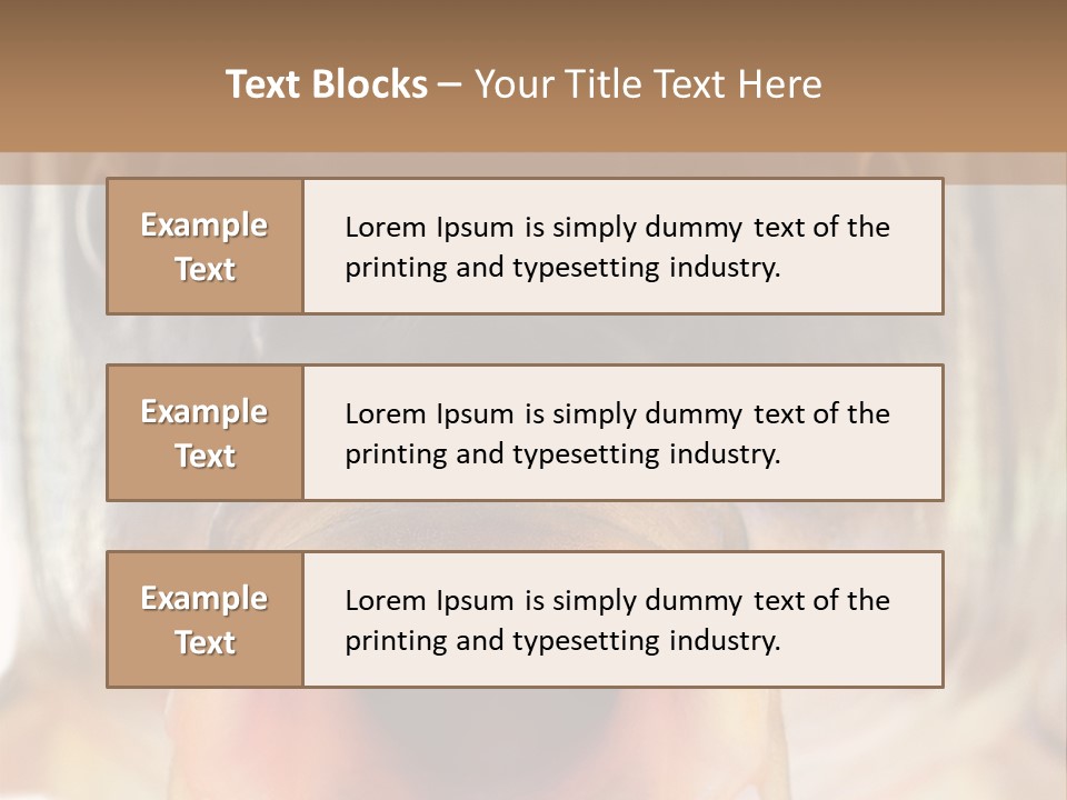 Woman Beach Water PowerPoint Template