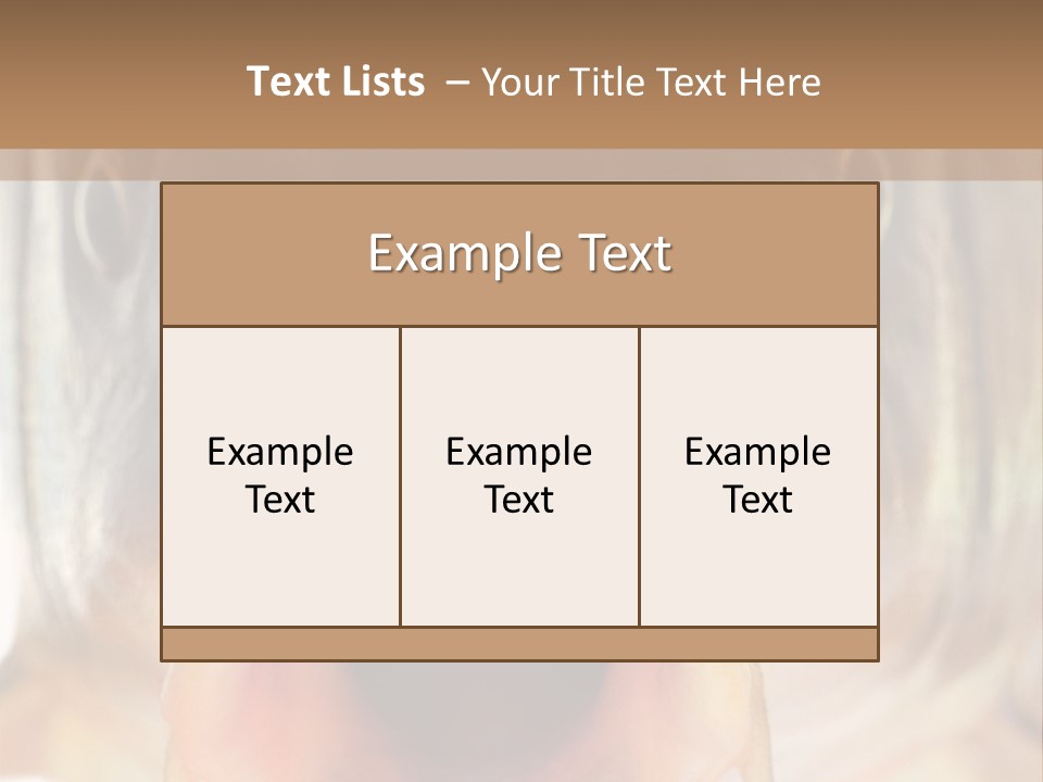 Woman Beach Water PowerPoint Template