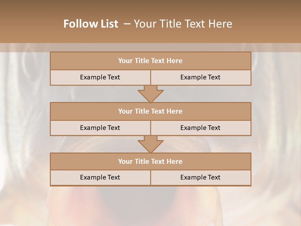 Woman Beach Water PowerPoint Template