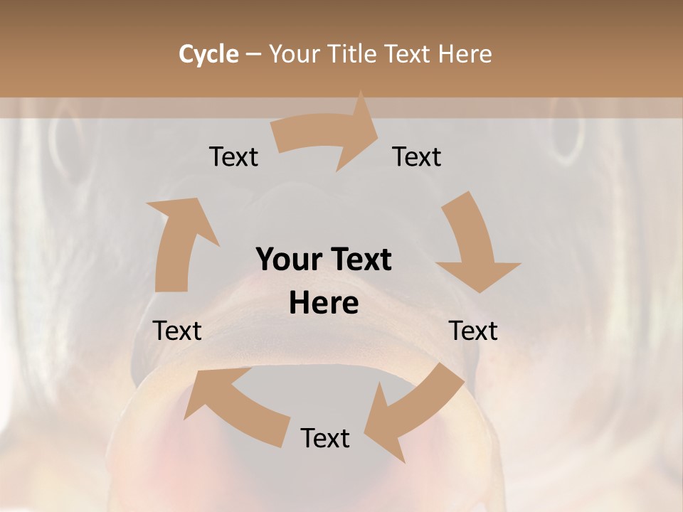 Woman Beach Water PowerPoint Template