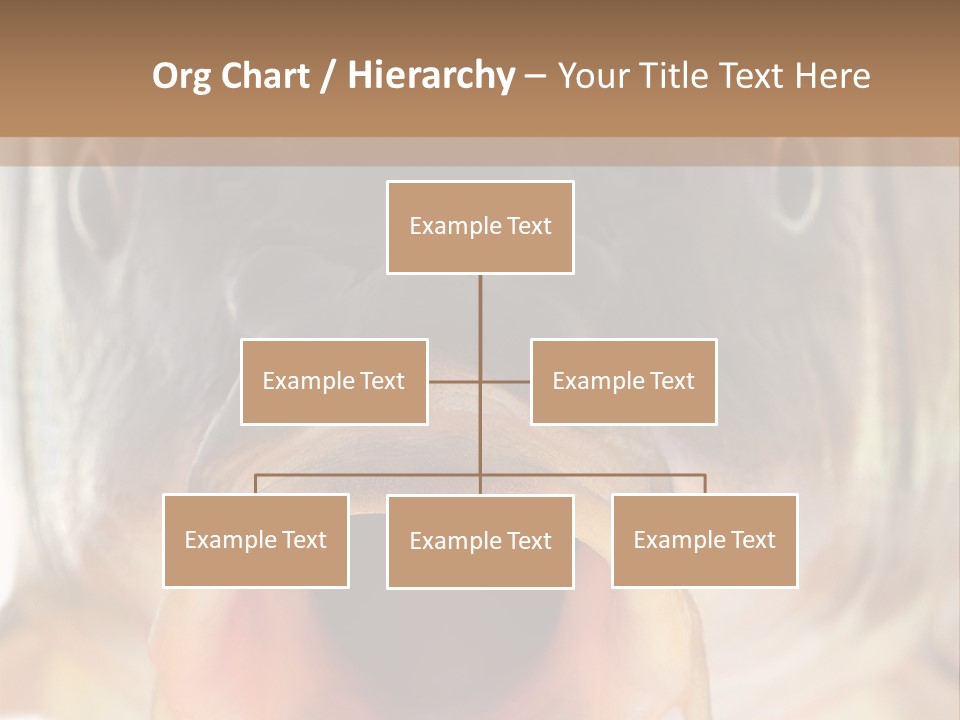 Woman Beach Water PowerPoint Template