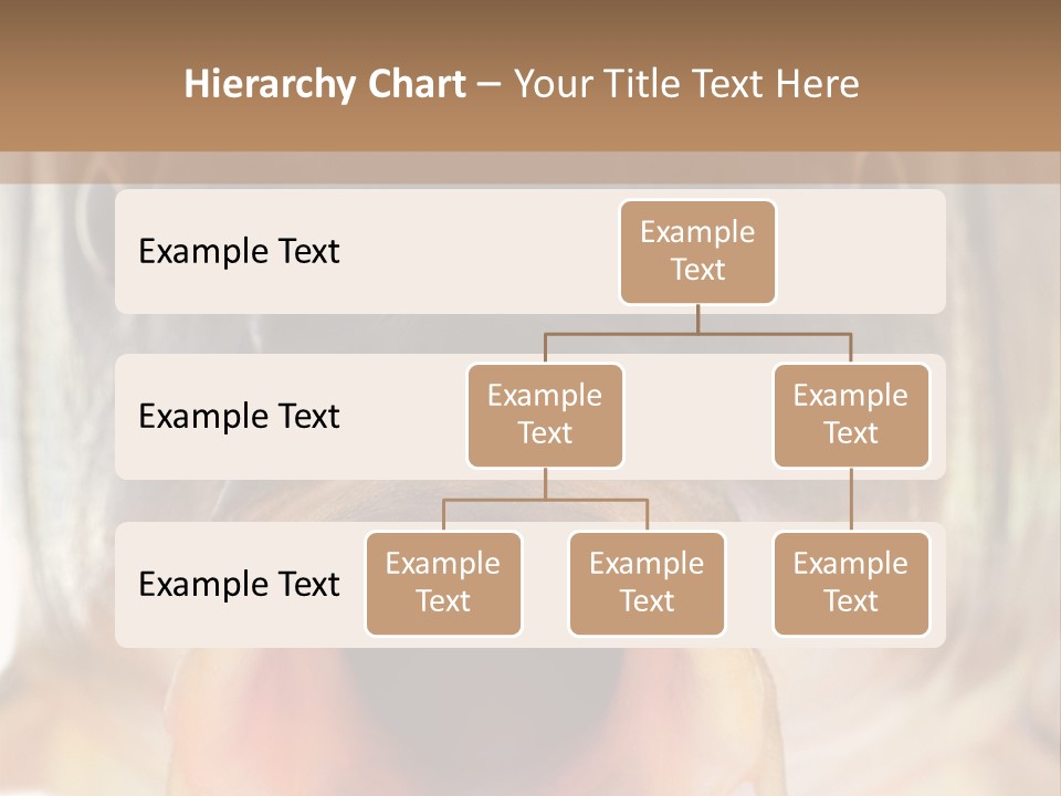 Woman Beach Water PowerPoint Template