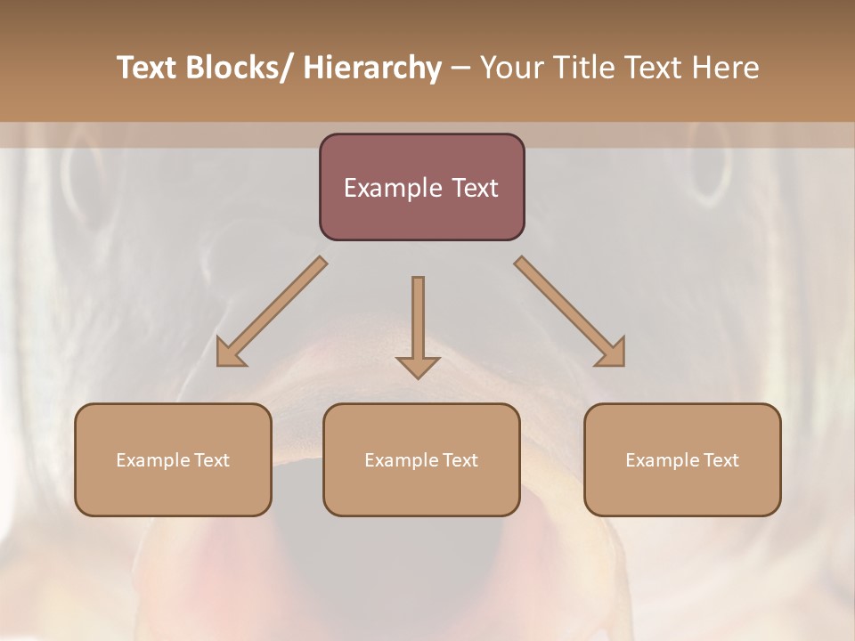 Woman Beach Water PowerPoint Template