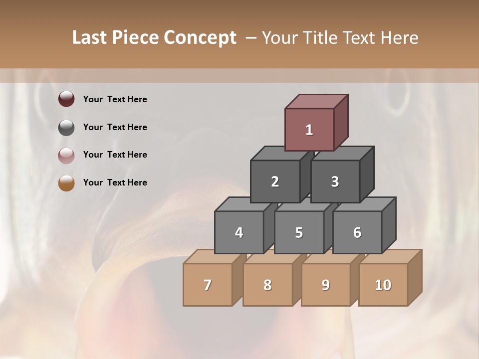 Woman Beach Water PowerPoint Template